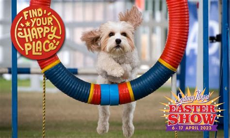 royal easter show dog schedule 2023